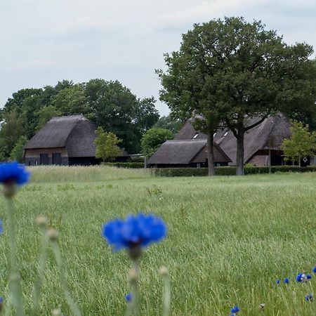 Gastenverblijf Lheederhof Dwingeloo Ngoại thất bức ảnh